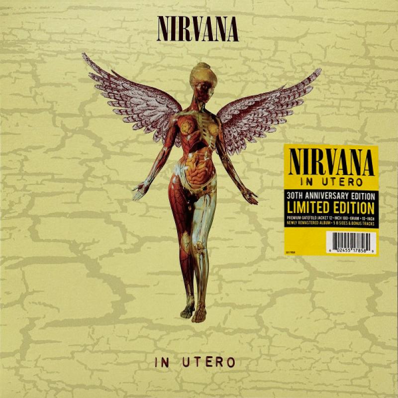 In Utero (30th Anniversary Deluxe Edition)