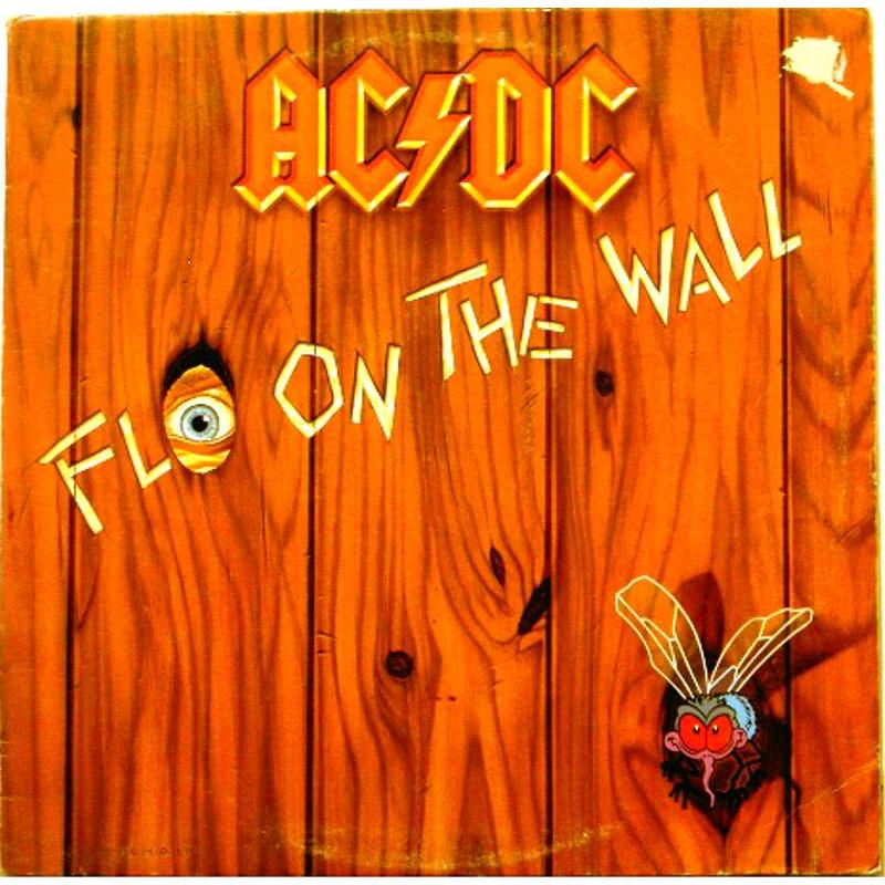 Fly on the Wall