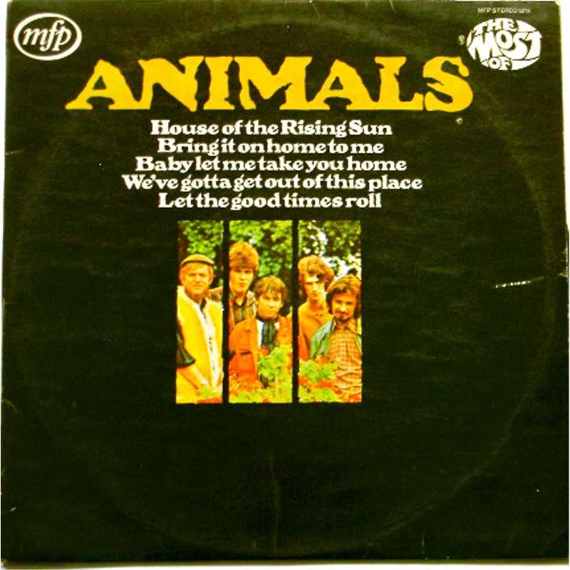 The Most of The Animals