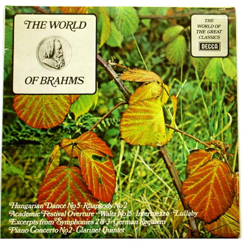 The World of Brahms