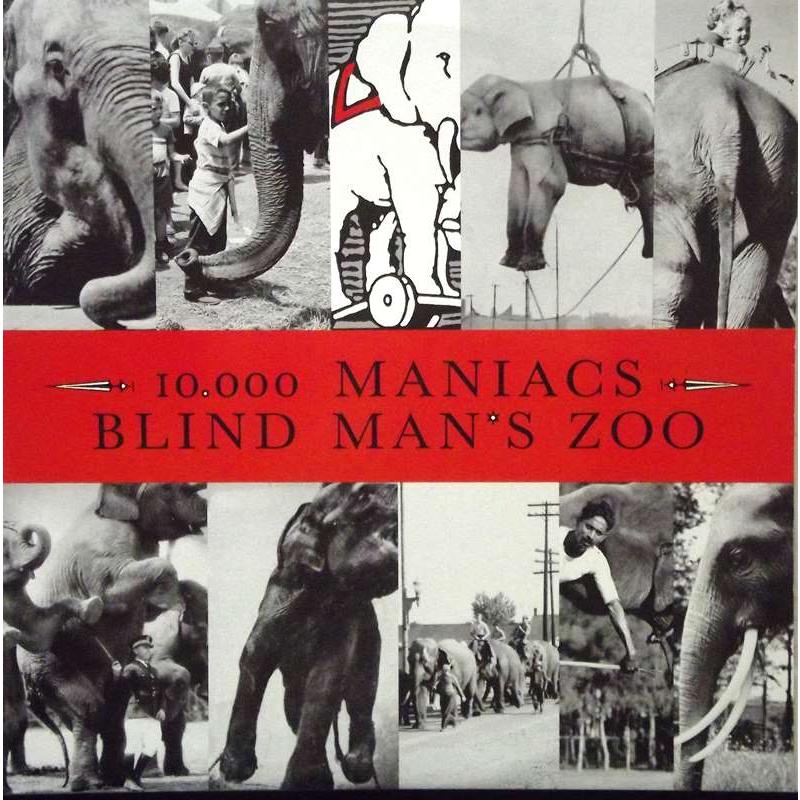  Blind Man's Zoo  