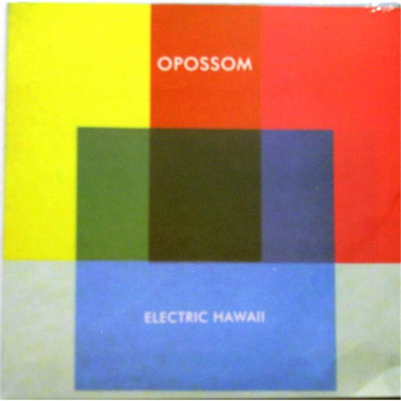 Electric Hawaii