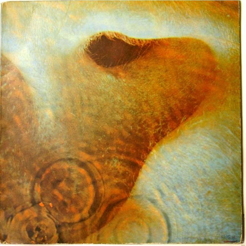 Meddle