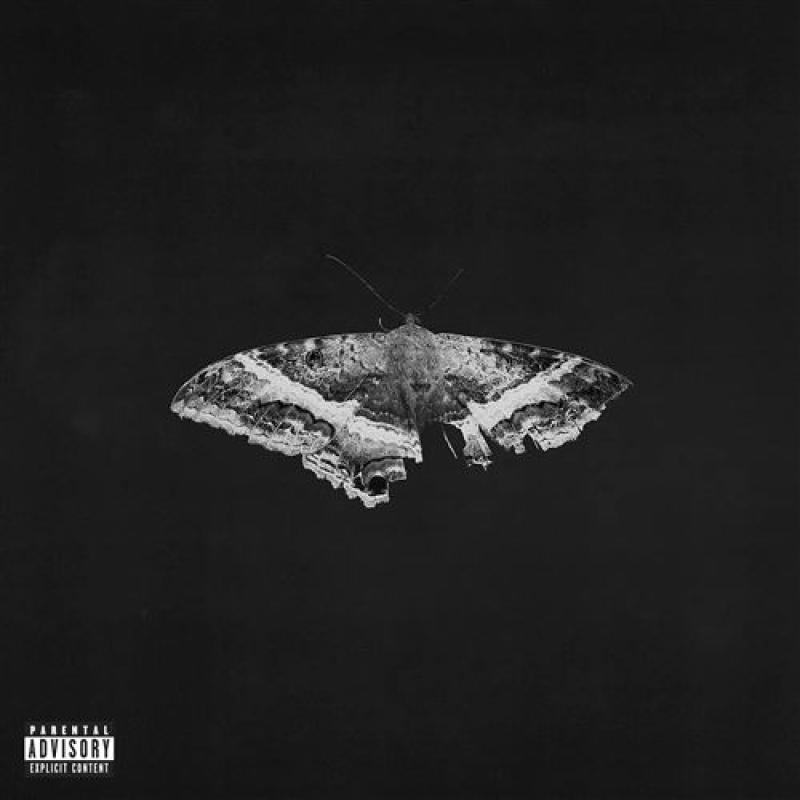 To Pimp A Butterfly (10 Year Anniversary Edition Metallic Blends Vinyl) 